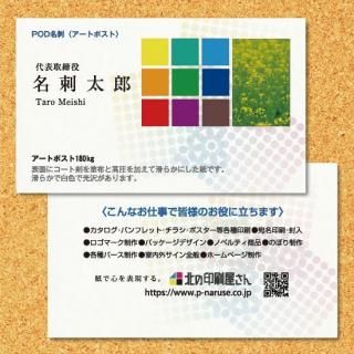 ̾ɡ Ⱦĥ䥳Ȼ 100硡ξ̥顼