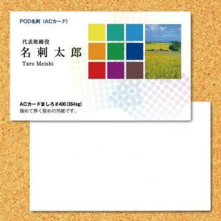 ̾ɡ Ǹ̾  100硡̥顼<img class='new_mark_img2' src='https://img.shop-pro.jp/img/new/icons5.gif' style='border:none;display:inline;margin:0px;padding:0px;width:auto;' />