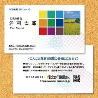 ̾ɡ Ǹ̾  100硡ξ̥顼<img class='new_mark_img2' src='https://img.shop-pro.jp/img/new/icons5.gif' style='border:none;display:inline;margin:0px;padding:0px;width:auto;' />