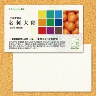 ̾ɡʸаʥ襷ˡʰ20ѡˡ100硡̥顼
