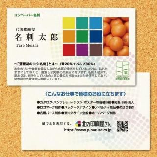 ̾ɡʸаʥ襷ˡʰ20ѡˡ100硡ξ̥顼