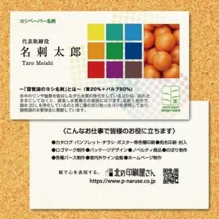̾ɡʸаʥ襷ˡʰ20ѡˡ100硡顼