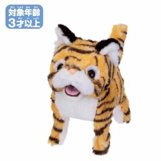 Ѥоǯ3Ͱʾ
