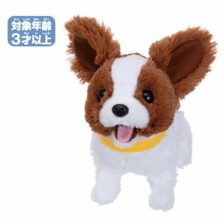 줷ХϥġǤफ󡡥ѥԥоǯ3Ͱʾ