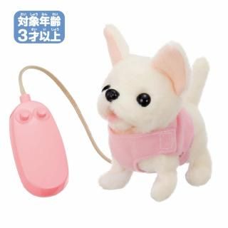 ⥳Ǥݡ󥭥оǯ3Ͱʾ