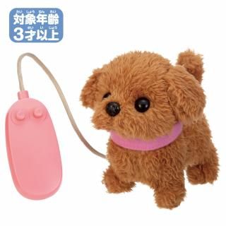 ⥳Ǥݡ󥭥ȥסоǯ3Ͱʾ