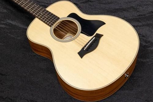 newTaylor / GS Mini Sapele #2210033104 1.65kgTONIQ͡