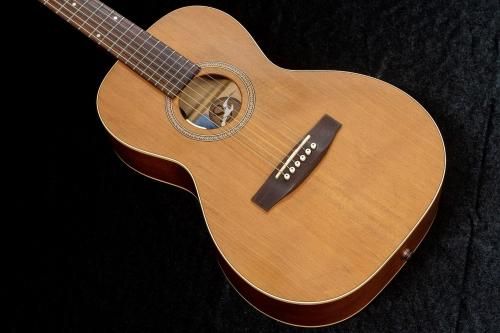 usedSeagull / Coastline Grand L.R.Baggs Anthem SL PU Mod #05422296 1.87kgTONIQ͡