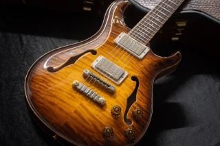 outletPRS / Private Stock #7309 McCarty 594 Hollowbody II McCarty Glow #18251171 2.93kgTONIQ͡