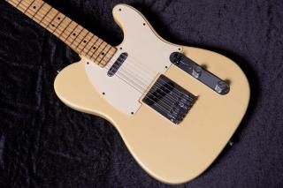 usedFender / 1984 Telecaster Blonde #E320376 3.81kgTONIQ͡