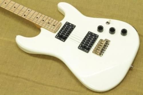 H.S.Anderson Stratocaster Type HH