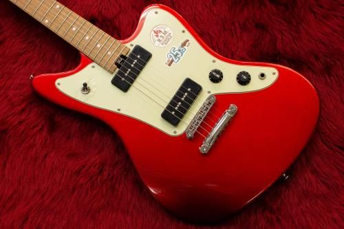 outletBacchus / WINDY-STD/RSM CAR ͥå祤 #GI03378 3.17kgڲŹ