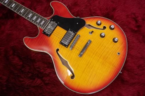 newSire / H7 CS #2N23770010 3.16kgڲŹ