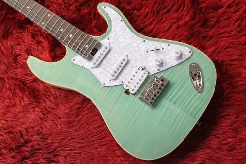 newAria Pro II / Evergreen 714-AE200LTD CB 3.48kg  ڲŹ