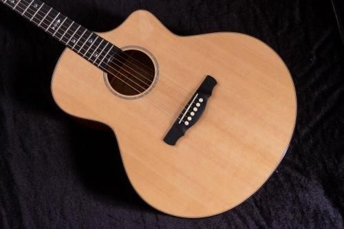 newNATASHA / Cat  #24010708 2.07kgTONIQ͡
