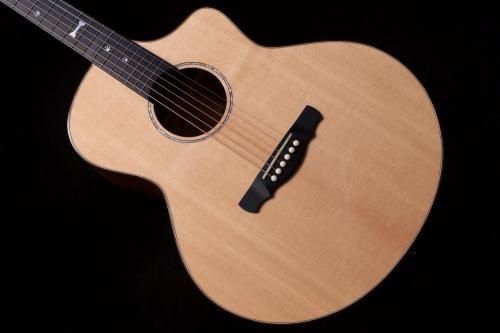 newNATASHA / Dog  #240701376 1.98kgTONIQ͡
