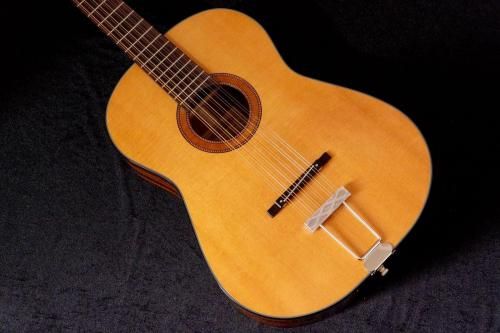 newFramus  / Hootenanny 12-String VNN 2.050kg #FRVC0237-25TONIQ͡