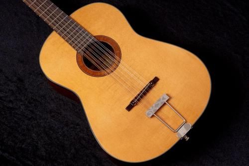 newFramus  / Hootenanny 12-String VNN 1.965kg #FRVC0173-25TONIQ͡