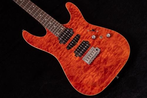 newSwing Guitars / Modern SE 3.425kg #230284TONIQ͡