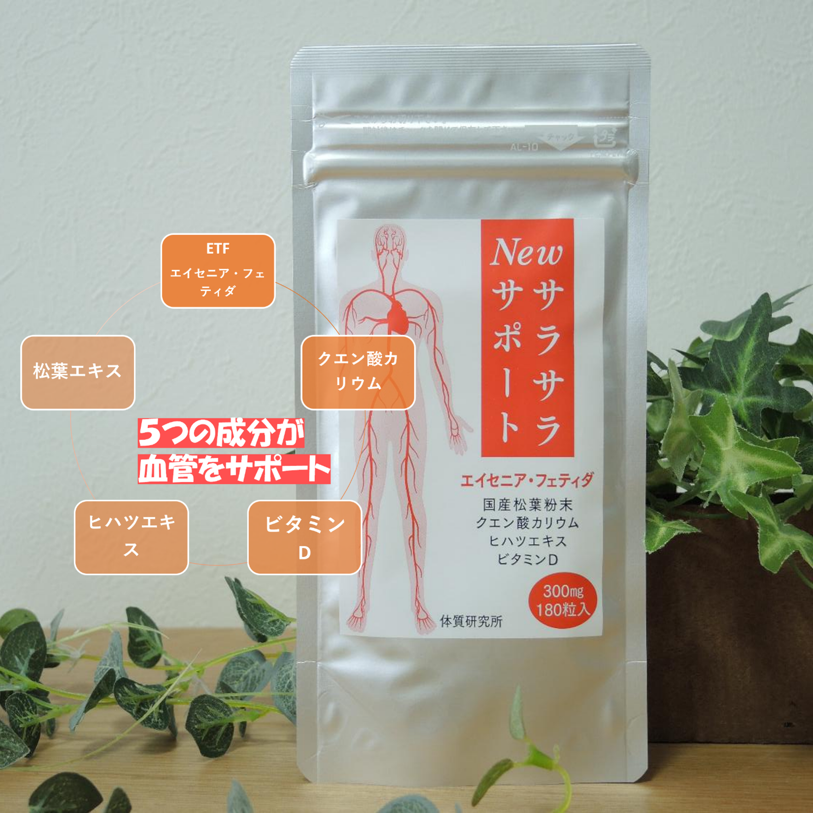 New 饵饵ݡ