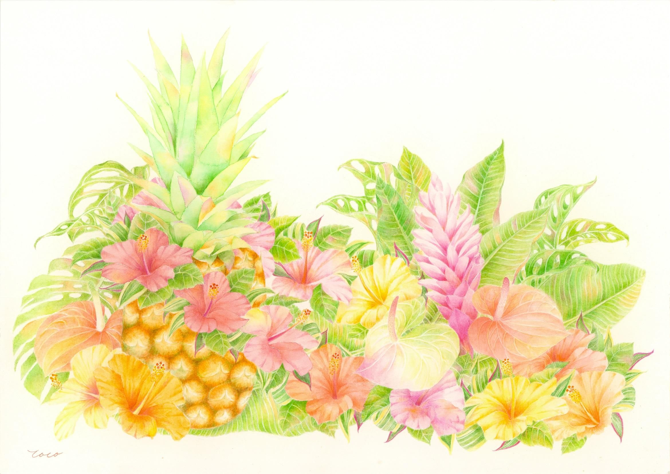 toco gallery 02