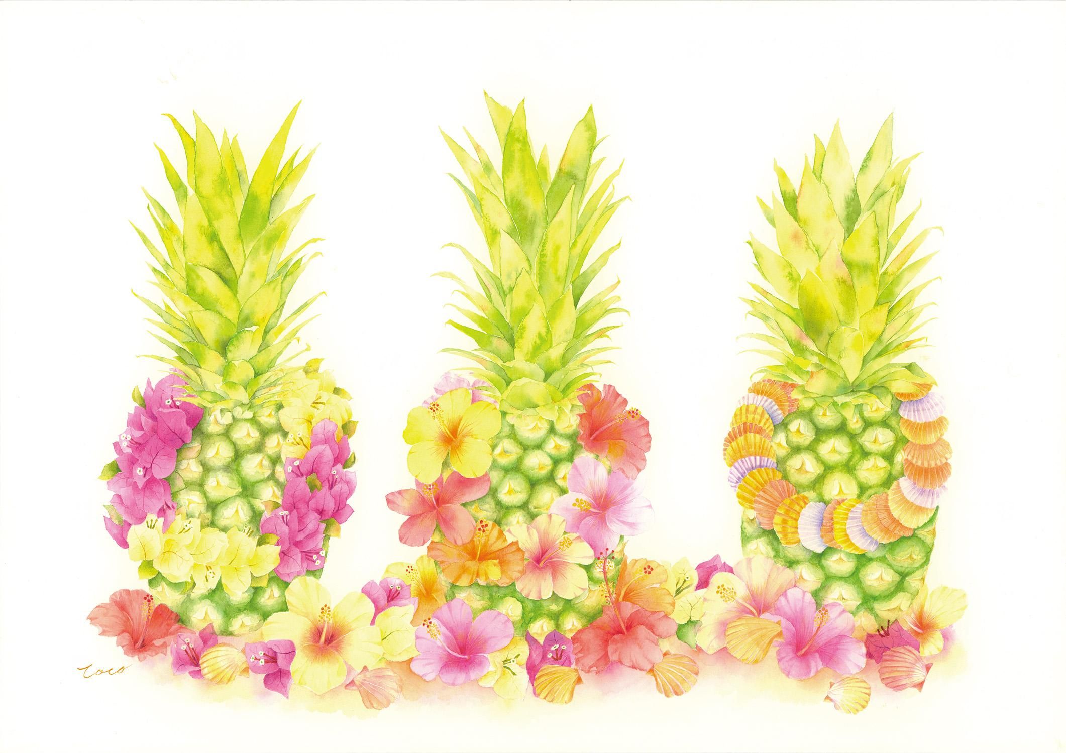 toco gallery 03