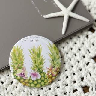 ڸŸŹǰtocoꥸʥ֥ ̥ߥ顼 դҿ̸CM04 - pineapple friendsʥѥʥåץ  襤 