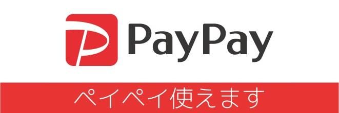 ڥڥPayPayȤޤ