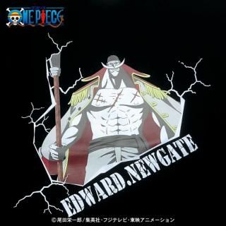 ONE PIECET ɥɥ˥塼