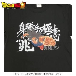 ɥ饴ܡĶ T ¹ Ⱦζ˰ա