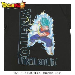 ɥ饴ܡĶ T ٥å եʥ뤫Ϥ