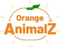 󥸥˥ޥ륺̵źåڥåȤĤθΥ