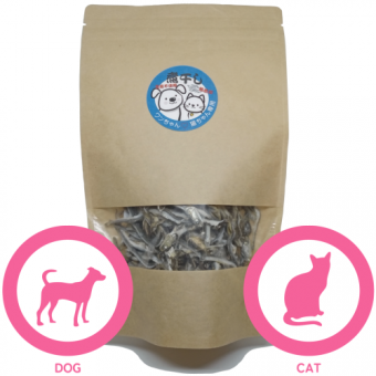 ڤѡۥե꡼ɥ饤Ѵʰǭѡ˿Իѡ̵źá100