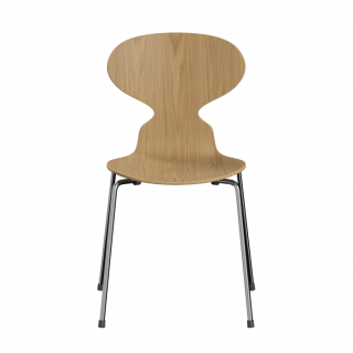 ʡۥ󥳥 ANT 4ܵ/(ʥ륦åɻž夲)