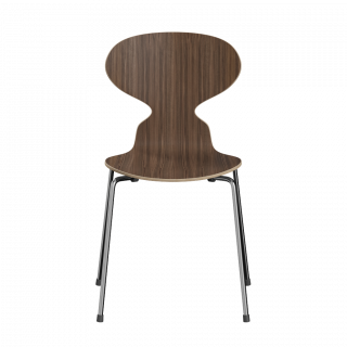 ʡۥ󥳥 ANT 4ܵ/ʥå(ʥ륦åɻž夲)