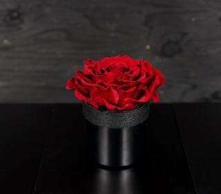 ץꥶ֥ɥꥢLDEEP RED