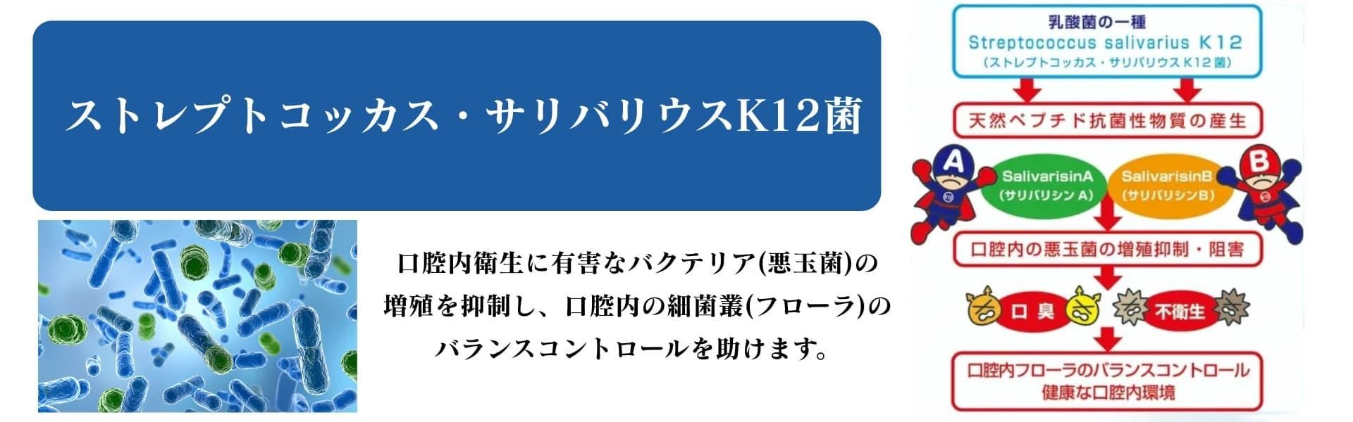 K12プロバイオティクス