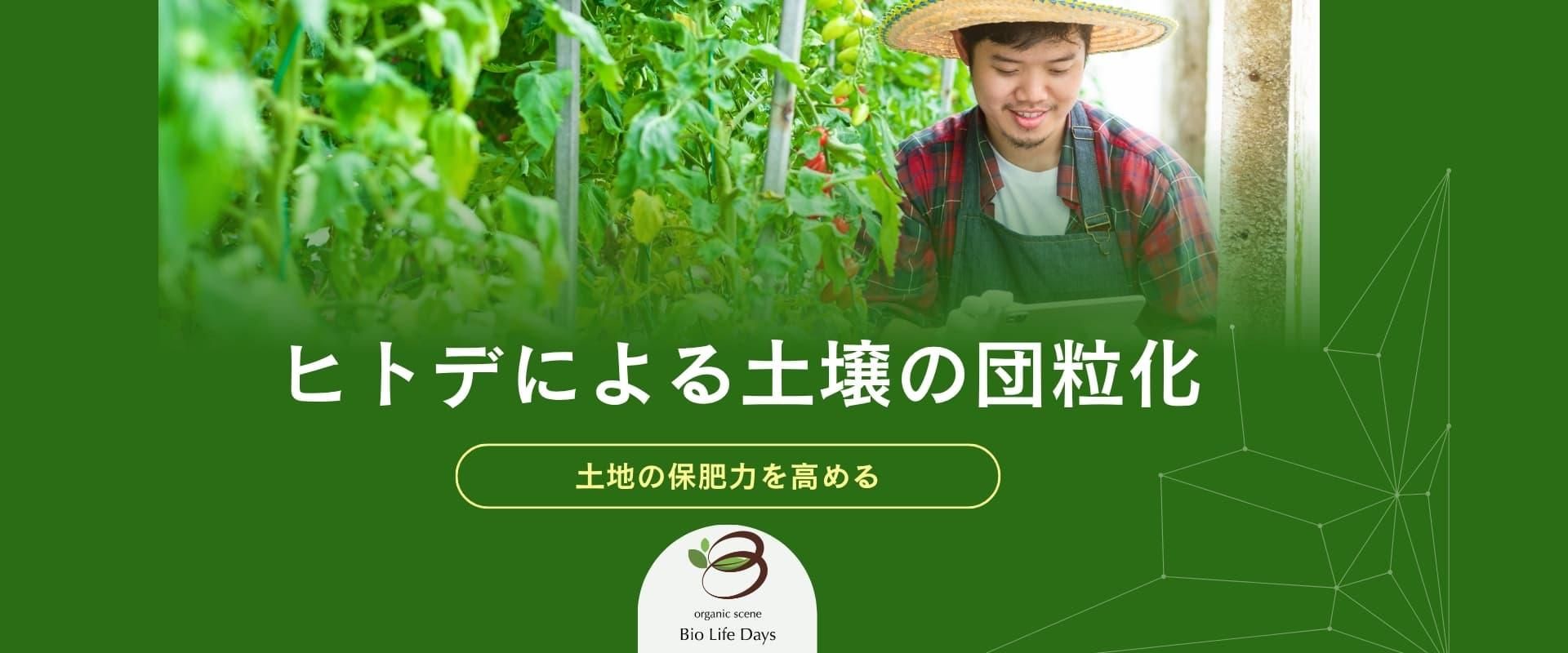 ¥Ò¥È¥Ç¤Î±ÉÍÜ