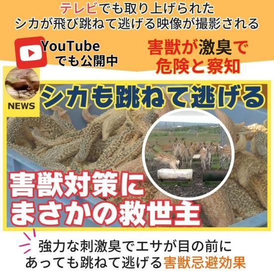 【害獣忌避剤】強臭力 IL