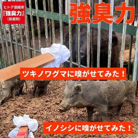 【害獣忌避剤】強臭力 IL