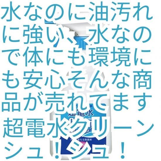 クリーンシュシュ
