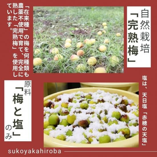 梅つぶれ 紀和の里 無添加