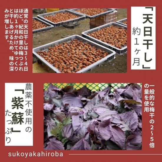 梅つぶれ 紀和の里 無添加