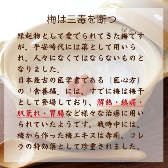 梅つぶれ 紀和の里 無添加