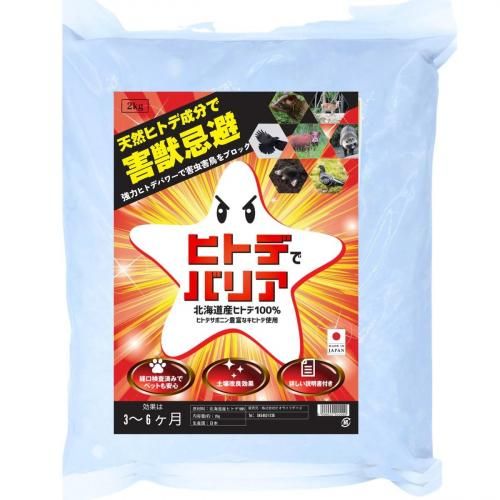 áĻޡҥȥǤǥХꥢ2̳ƻ 񻺥ҥȥ100۳á ͥ ϥӥ  إ Υ  ५ 饹 ϥк