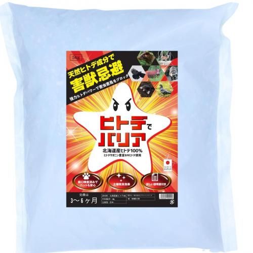 áĻޡҥȥǤǥХꥢ5̳ƻ 񻺥ҥȥ100۳á ͥ ϥӥ  إ Υ  ५ 饹 ϥк