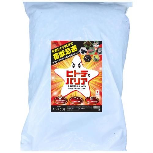 áĻޡҥȥǤǥХꥢ10̳ƻ 񻺥ҥȥ100۳á ͥ ϥӥ  إ Υ  ५ 饹 ϥк