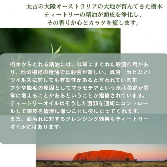 ティートリーシャンプー