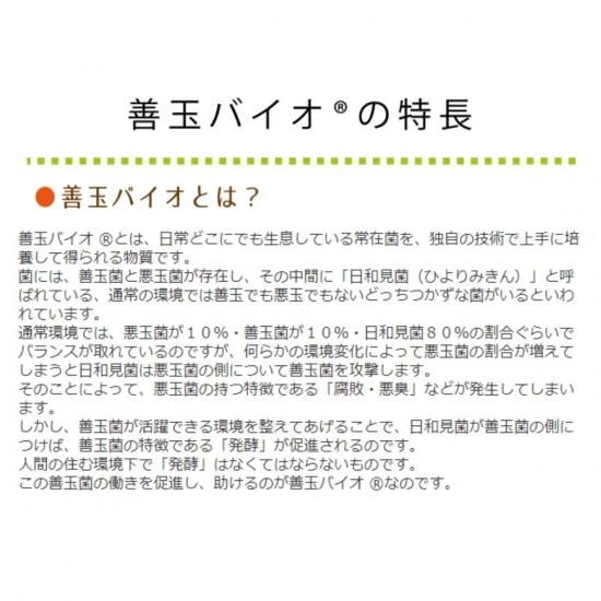 浄 JOE 善玉バイオ オレン