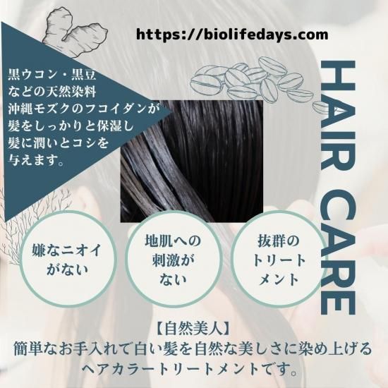 自然美人 ブラック 白髪染め